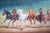7 Horses Painting Vastu