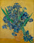 Irises