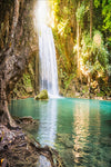 Waterfall Painting