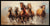 seven Horse