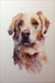 Dog Painting
