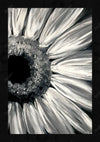 Black and White Painting