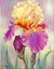 Flower Painting 11