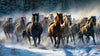 7 horse
