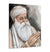 Guru Nanak Dev Ji Canvas Painting