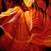 Abstract Art