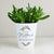 Personalized Plant Pot