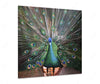 abstract handmade bird Peacock Wall art paintings