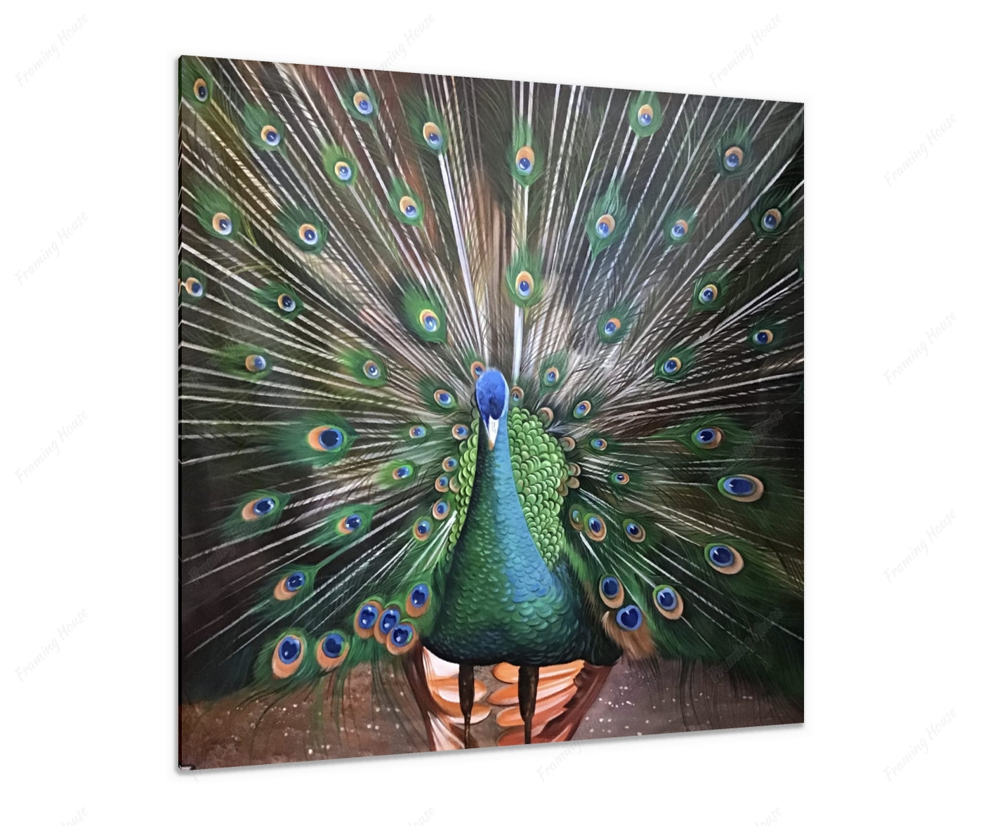 abstract handmade bird Peacock Wall art paintings