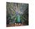 abstract handmade bird Peacock Wall art paintings